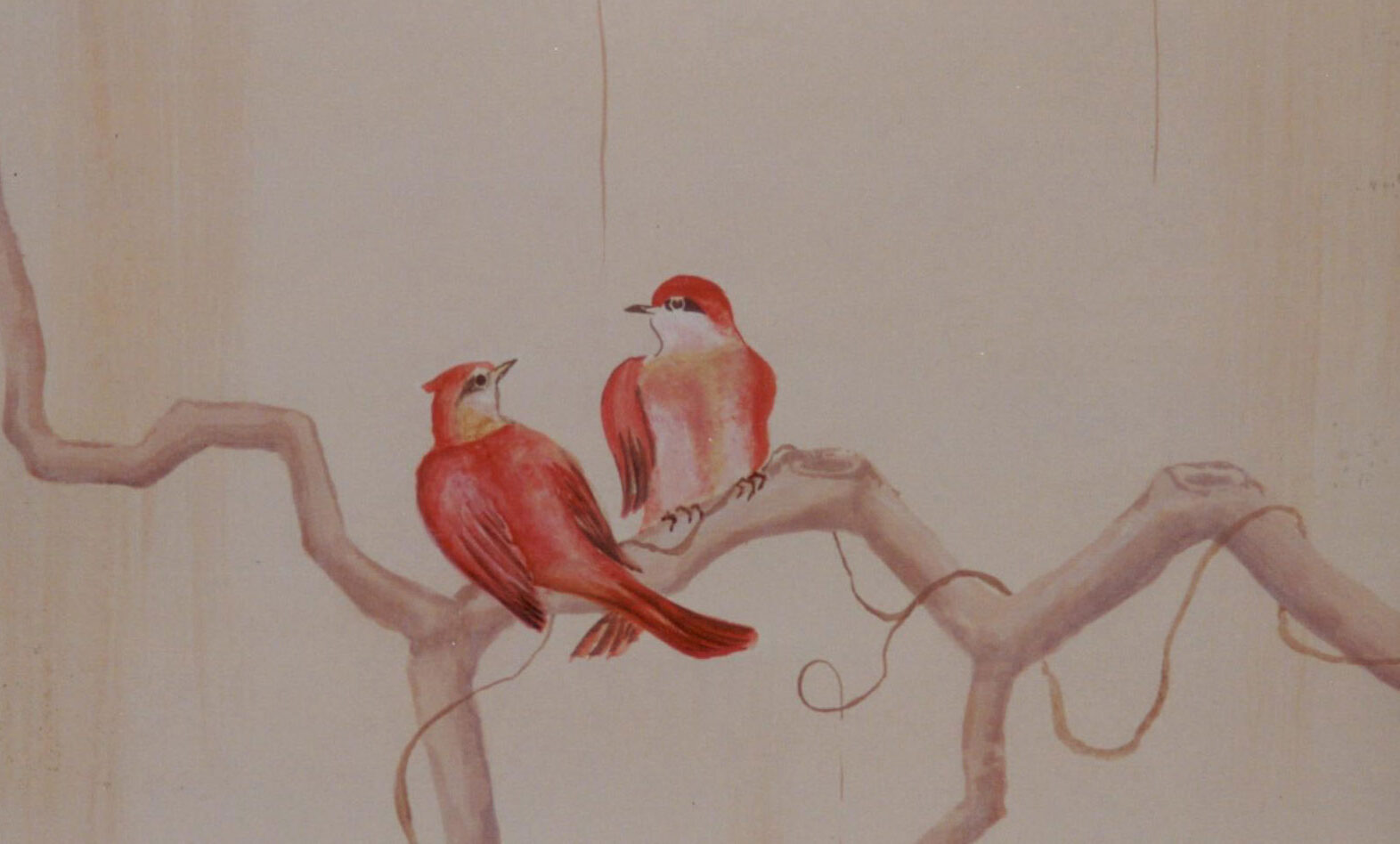 Venetian Plaster Wall - Luxury textured finish with depth